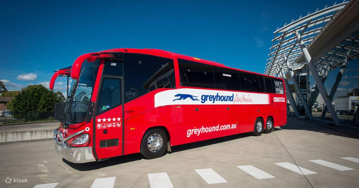 Greyhound Australia