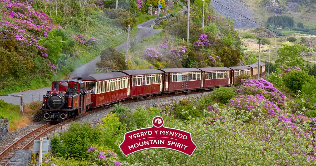 Ffestiniog & Welsh Highland Railway Ffestiniog & Welsh Highland Railway